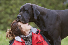 Load image into Gallery viewer, Learn to Listen: The Whole Dog Enrichment Program