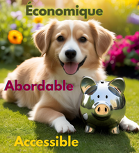 Load image into Gallery viewer, Service d’assistance virtuelle Experte en comportement canin   ** NOUVEAU SERVICE **