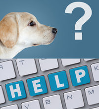 Load image into Gallery viewer, Expert Dog Behaviour Helpline ** NEW SERVICE **