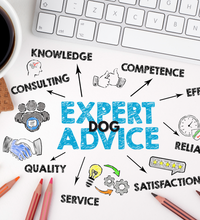 Load image into Gallery viewer, Expert Dog Behaviour Helpline ** NEW SERVICE **