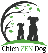 Load image into Gallery viewer, Service d’assistance virtuelle Experte en comportement canin   ** NOUVEAU SERVICE **