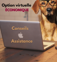 Load image into Gallery viewer, Service d’assistance virtuelle Experte en comportement canin   ** NOUVEAU SERVICE **
