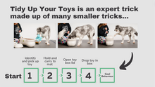 Load image into Gallery viewer, Tricks Master Mini-Course: Tidy Up Toys