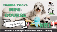 Load image into Gallery viewer, Tricks Master Mini-Course: Tidy Up Toys