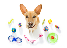 Load image into Gallery viewer, Tricks Master Mini-Course: Tidy Up Toys