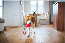 Load image into Gallery viewer, Tricks Master Mini-Course: Tidy Up Toys