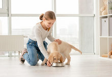 Load image into Gallery viewer, Peace, Love, Kids &amp; Dogs: Family Dog Program
