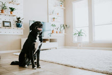 Load image into Gallery viewer, In-Home Behaviour Consultation