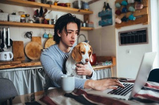 Online & Hybrid – Pet Intel.ca