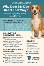 Load image into Gallery viewer, Understanding Your Dog’s Social Style &amp; Navigating Dog-to-Dog Interactions
