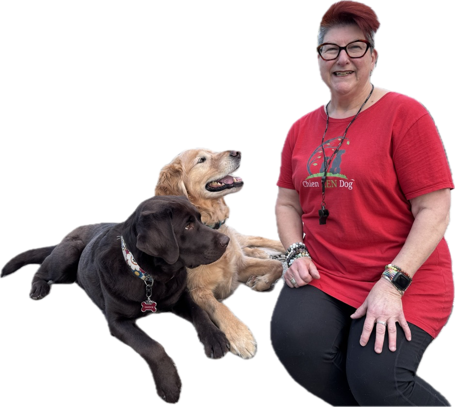 Chien Zen Dogs.png__PID:d43cb074-640d-415b-b214-f411d9929ba7