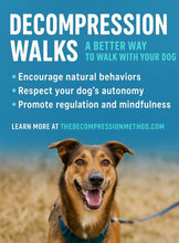 Load image into Gallery viewer, Guided Decompression Walks
