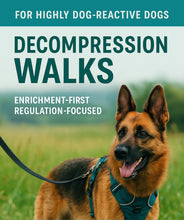 Load image into Gallery viewer, Guided Decompression Walks
