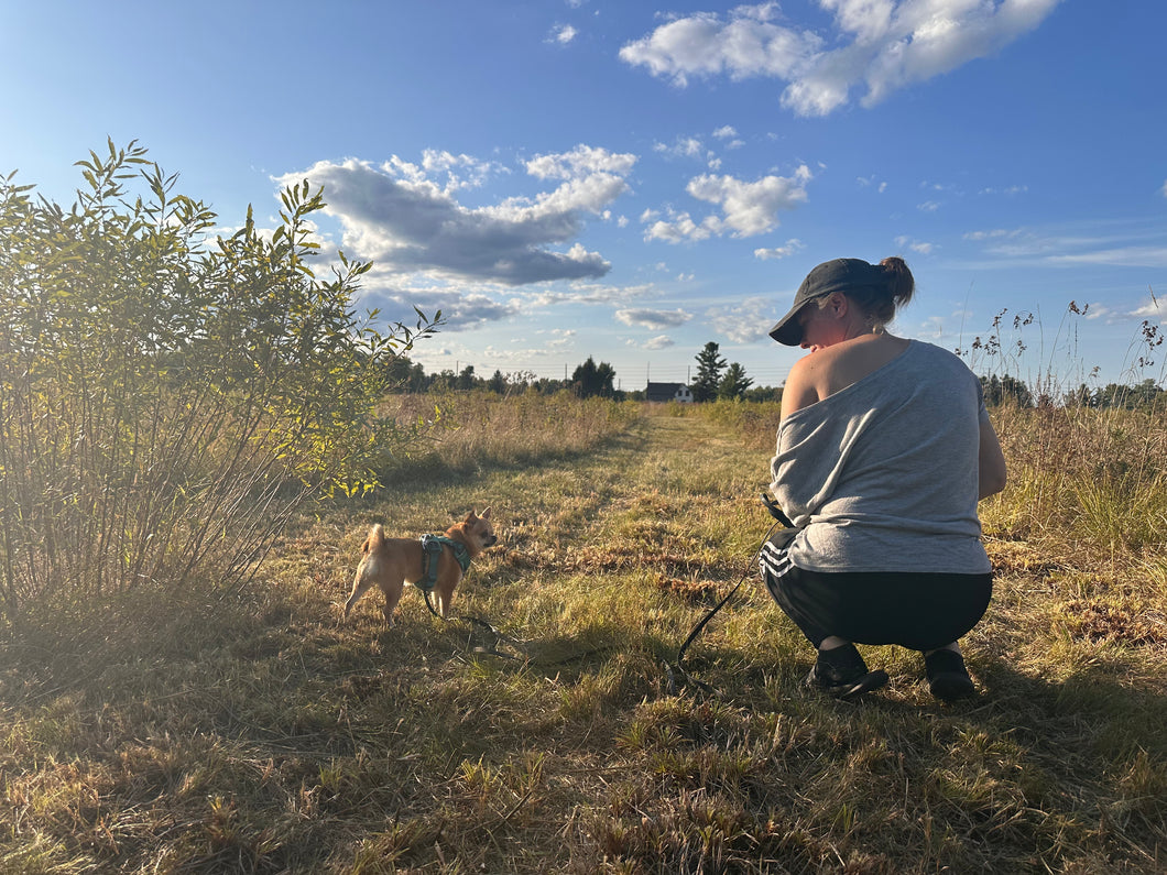 Guided Decompression Walks