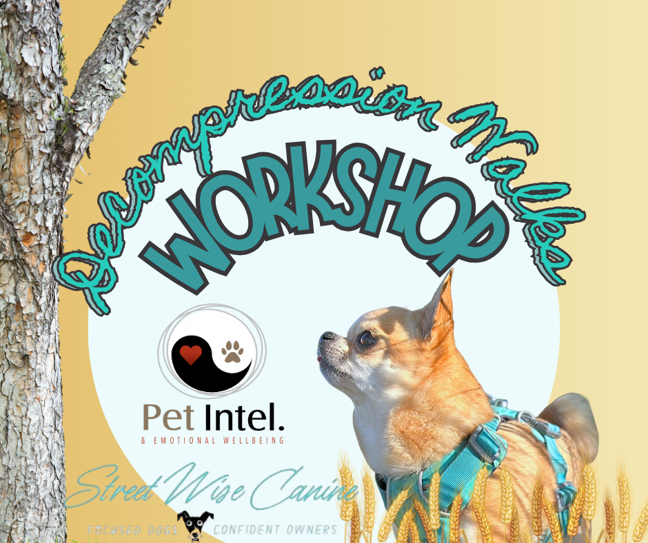 Decompression Walks Workshop