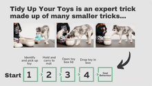Load image into Gallery viewer, Tricks Master Mini-Course: Tidy Up Toys
