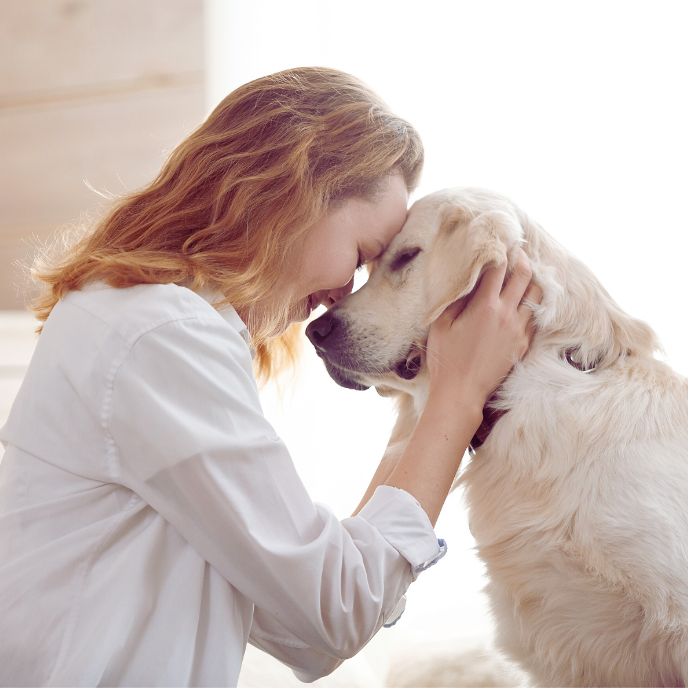 Service Dog Training & Canine Assisted Therapy